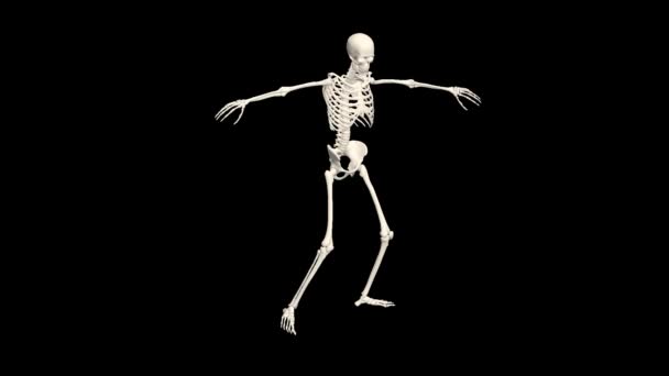 Esqueleto Bailando Skeleton Dance Animation Inglés Esqueleto Danza — Vídeos de Stock