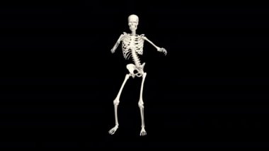 Dansçı İskelet 3D.3D İskelet Dans Animasyonu. İskelet 3D dans. 