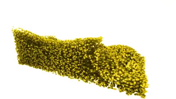 Boucle Vfx Simulation Fluide Base Particules Particules Liquides Flux Particules — Video