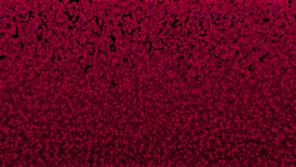 Particle Flow Partikelbasierte Flüssigkeitssimulation Flüssige Kollision Transparenter Hintergrund Alpha Kanal — Stockvideo