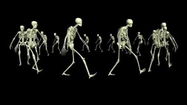 İskelet daireler çiziyor. Animasyon görüntüleri. İskeletlerin 3 boyutlu animasyonu.