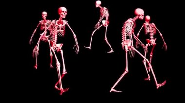 İskelet daireler çiziyor. Animasyon görüntüleri. İskeletlerin 3 boyutlu animasyonu.