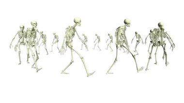 İskelet daireler çiziyor. Animasyon görüntüleri. İskeletlerin 3 boyutlu animasyonu.
