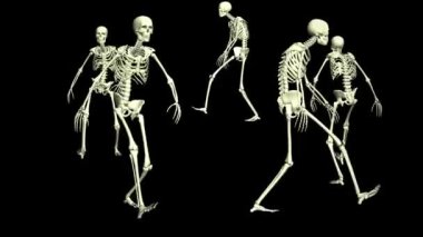 İskelet daireler çiziyor. Animasyon görüntüleri. İskeletlerin 3 boyutlu animasyonu.