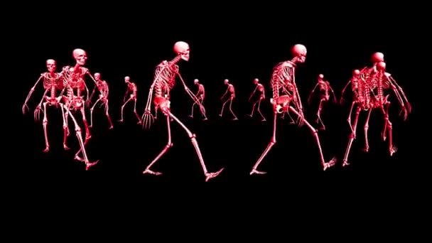 Esqueleto Marchando Círculo Imágenes Animación Animación Esqueletos — Vídeos de Stock