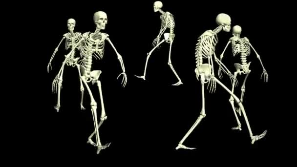 Skelet Daireler Çiziyor Animasyon Görüntüleri Skeletlerin Boyutlu Animasyonu — Stok video