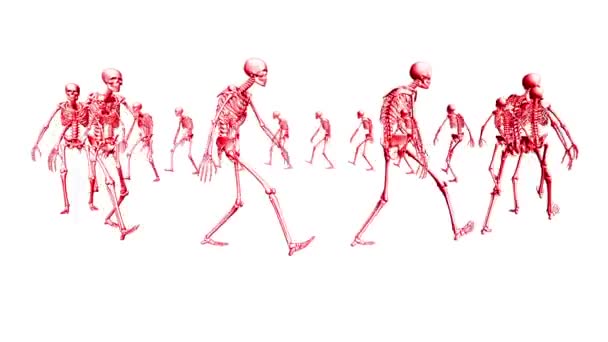 Skeleton Marching Circle Animation Footage Animation Skeletons — Stock Video