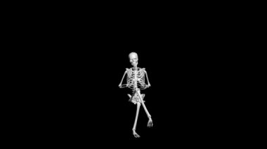 İskeletlerin 3 boyutlu animasyonu. Oturma pozisyonu.