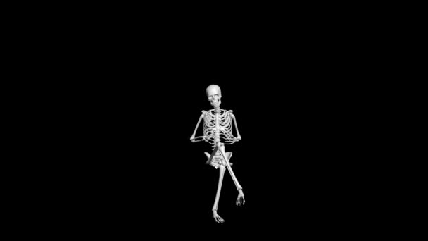 Animation Skeletons Sitting Pose — Stock Video