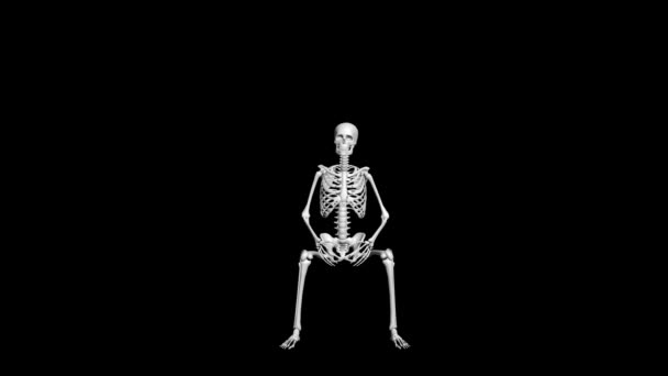 Animation Von Skeletten Sitzposition — Stockvideo
