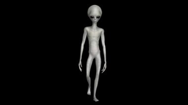 Sinematik Süper Gerçekçi Gri Uzaylı 3D Hareket Videosu