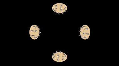 Restoranınız için Le Petit Chef tarzında 3 boyutlu bir animasyon. Lokantalar siparişlerini beklerken eğlendirilecek. Tabaklarında dans eden büyüleyici farelerin ateşli danslarını izleyecekler. Bu 3 boyutlu animasyon döngülenmiş.