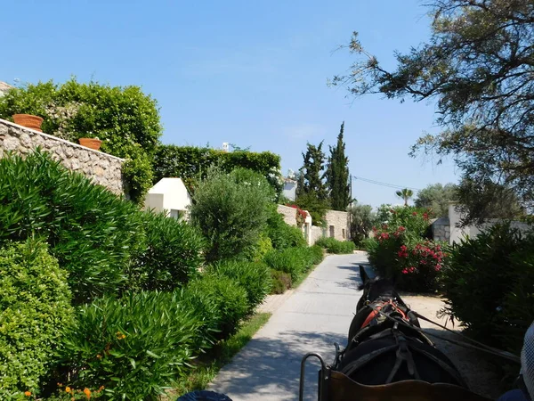 View Street Flowers Horse Drawn Carriage Island Spetses —  Fotos de Stock
