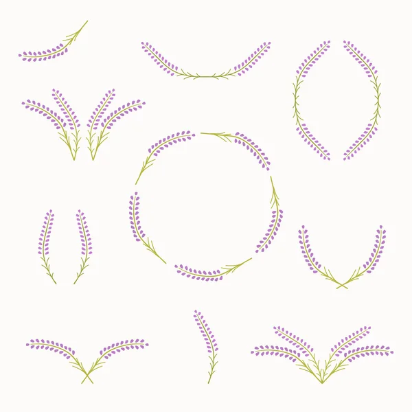 Set de elementos de lavanda. Lindos iconos florales. Colección de plantillas. Ilustración vectorial . — Vector de stock