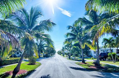 key west florida yolu ile palm Beach ağaçlar