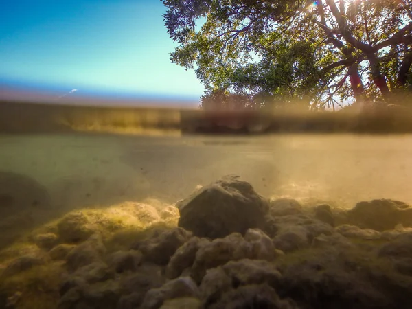 Bella acqua limpida a Key West Florida — Foto Stock