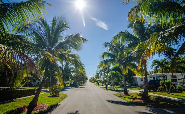 フロリダ州キーウェストで木を手のひらでビーチへの道 — ストック写真