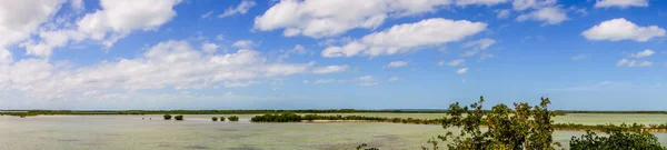 Lugn natur i florida nycklar — Stockfoto