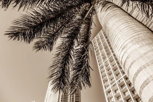Miami florida city skyline and streets — Stock Photo, Image