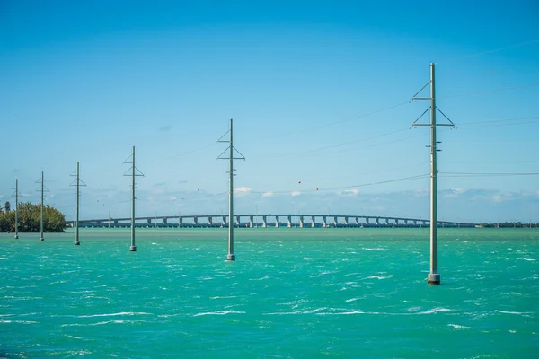 Rustige natuur in florida sleutels — Stockfoto