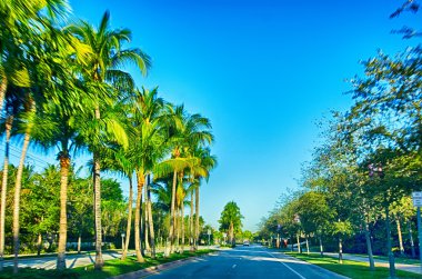 Miami florida plaj sahneleri güneşli bir günde