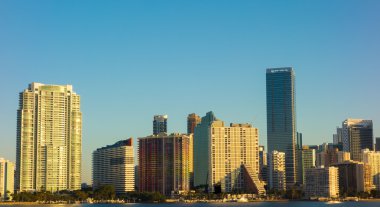 Miami Florida şehir manzarası sabah mavi gökyüzü ile
