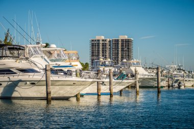 Miami florida plaj sahneleri güneşli bir günde