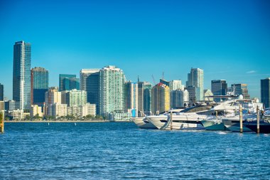 Miami Florida şehir manzarası sabah mavi gökyüzü ile