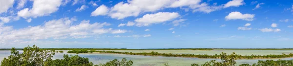 Florida Keys 'te sakin doğa — Stok fotoğraf