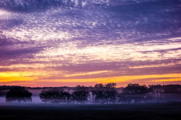 Abstract sunrise landscape on the farm in florida — Stock Photo, Image