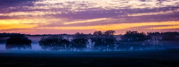 Abstrato paisagem do nascer do sol na fazenda na Flórida — Fotografia de Stock