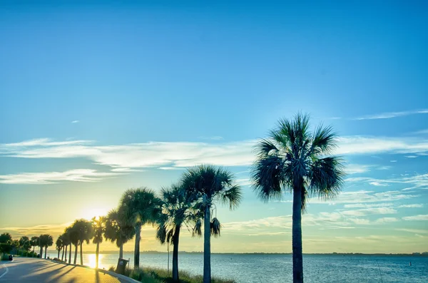 Miami florida beach jelenetek egy napsütéses napon — Stock Fotó