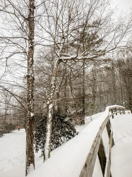 Scene astratte nella stazione sciistica durante la tempesta di neve — Foto Stock