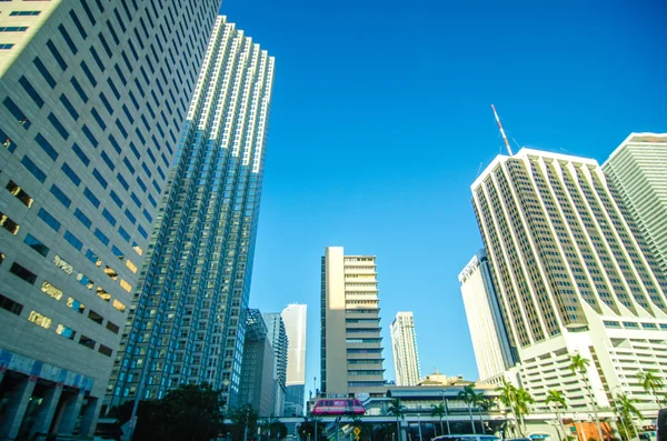 Miami florida city skyline and streets — Stock Photo, Image