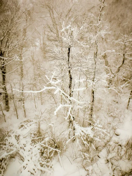 Scene astratte nella stazione sciistica durante la tempesta di neve — Foto Stock