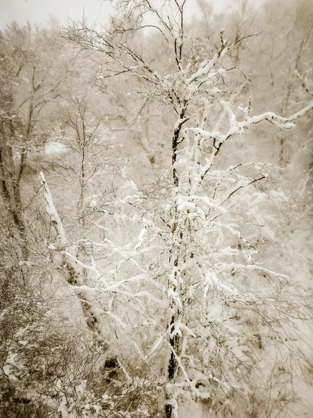 Abstrakt scener på ski resort under snöstorm — Stockfoto