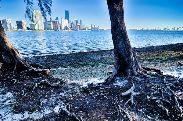 Miami Florida città skyline mattina con cielo blu — Foto Stock