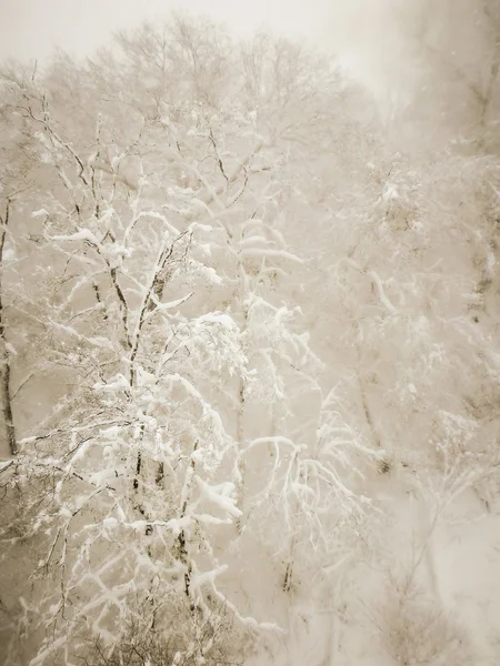 Abstrakt scener på ski resort under snöstorm — Stockfoto