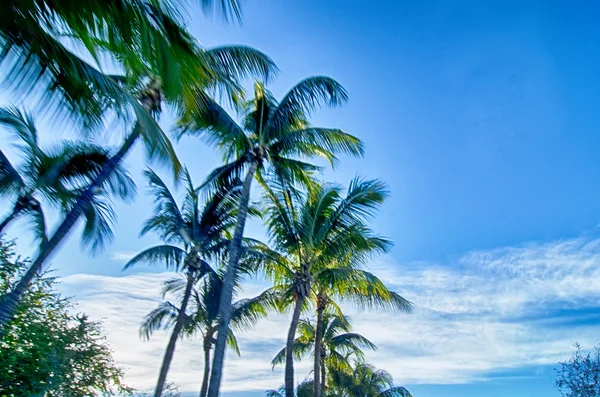Miami florida strand szenen an einem sonnigen tag — Stockfoto