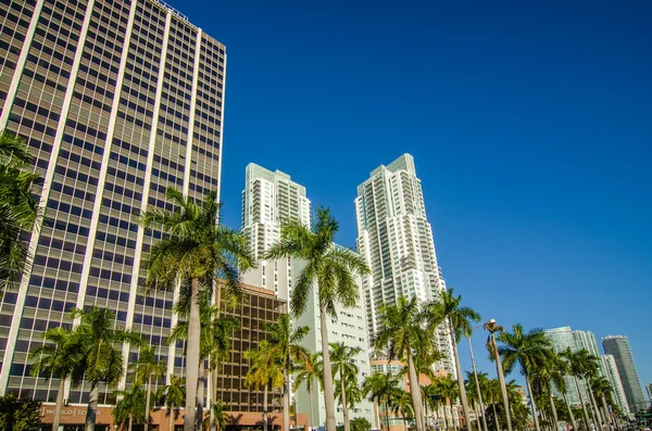 Miami florida ciudad skyline y calles —  Fotos de Stock