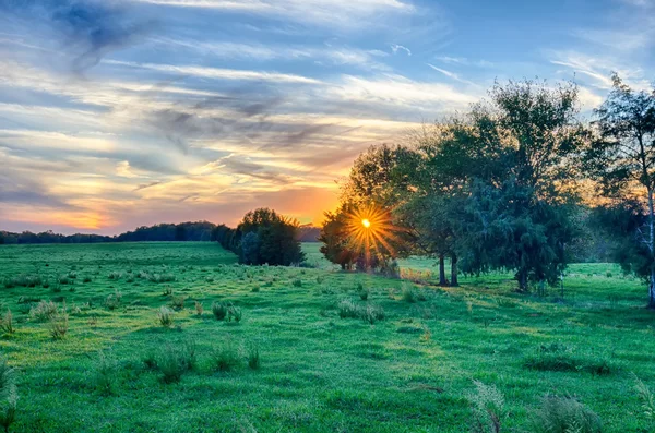 Atardecer en tierra de cultivo de Carolina del Sur —  Fotos de Stock