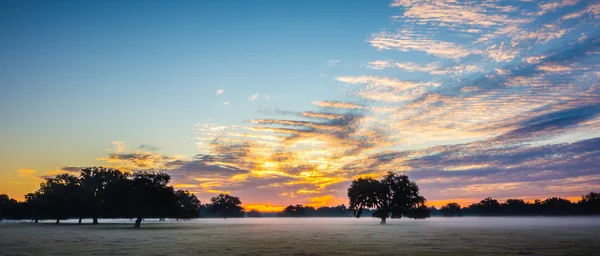 Abstrato paisagem do nascer do sol na fazenda na Flórida — Fotografia de Stock