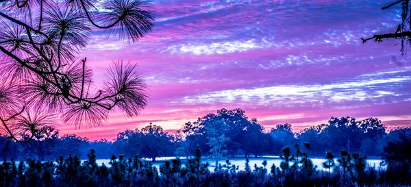 Sunrise αφηρημένος τοπίο στο αγρόκτημα στη Φλόριντα — Φωτογραφία Αρχείου