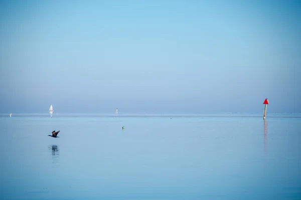 Klidná příroda na floridských klávesách — Stock fotografie