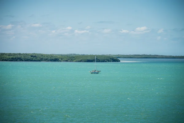 Krásná pláž a moře scény v florida keys — Stock fotografie