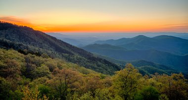 Bahar doğal Blue Ridge Parkway Appalachians Dumanlı Dağı