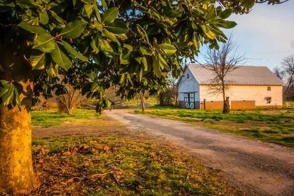 Camino rural conduce a un granero — Foto de Stock