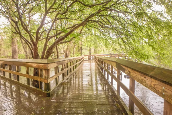 Natur an den Quellen der Mornison — Stockfoto