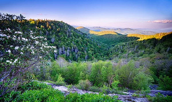 在风景秀丽的 Blue Ridge 大道阿巴拉契亚黑烟山的春天 — 图库照片