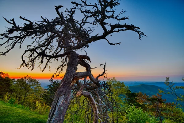 Lente op de schilderachtige Blue Ridge Parkway Appalachians rokerige Mount — Stockfoto